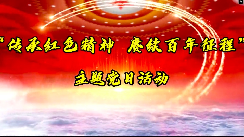 傳承紅色精神，賡續(xù)百年征程-共產(chǎn)黨員服務(wù)大隊(duì)主題黨日活動(dòng)