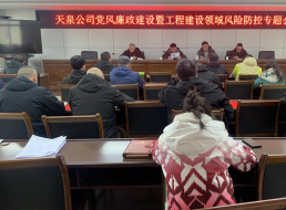 天泉公司召開(kāi)黨風(fēng)廉政建設(shè)暨工程建設(shè)領(lǐng)域風(fēng)險(xiǎn)防控專題會(huì)